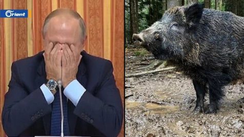 الخنزير بوتين يؤرق الألمان وغزو أوكرانيا يسحب منه "الشرف"