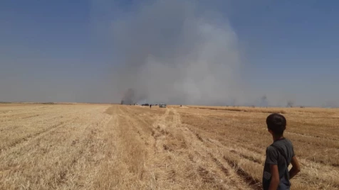 عشرات الدونمات احترقت.. مزارعو حماة وحمص يدفعون ثمن خلافات شبيحة "الربيعة"