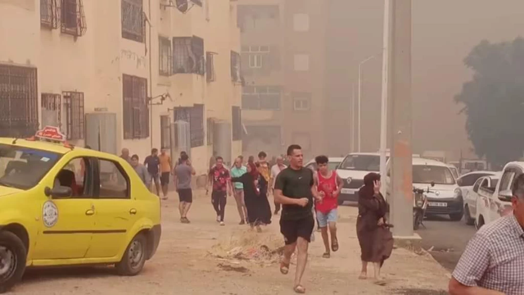 بعضها مفتعَل.. حرائق الجزائر تلتهم 14 ولاية وحصيلة الضحايا ترتفع (فيديو)