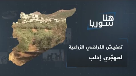 حكومة ميليشيا أسد.. من تعفيش البيوت إلى تعفيش الأراضي الزراعية للمهجّرين جنوب إدلب