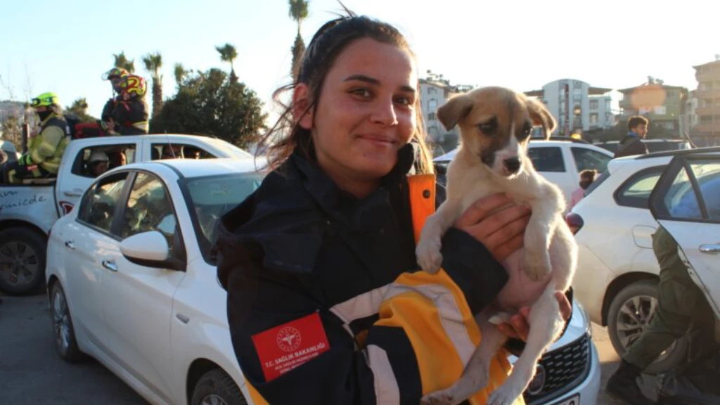 4 قصص مدهشة لحيوانات ساهمت بإنقاذ ومساعدة ضحايا الزلزال المدمر في تركيا