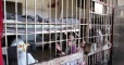 بينهم نساء.. توثيق مقتل 6 فلسطينيين من عائلة واحدة تحت التعذيب بسجون أسد