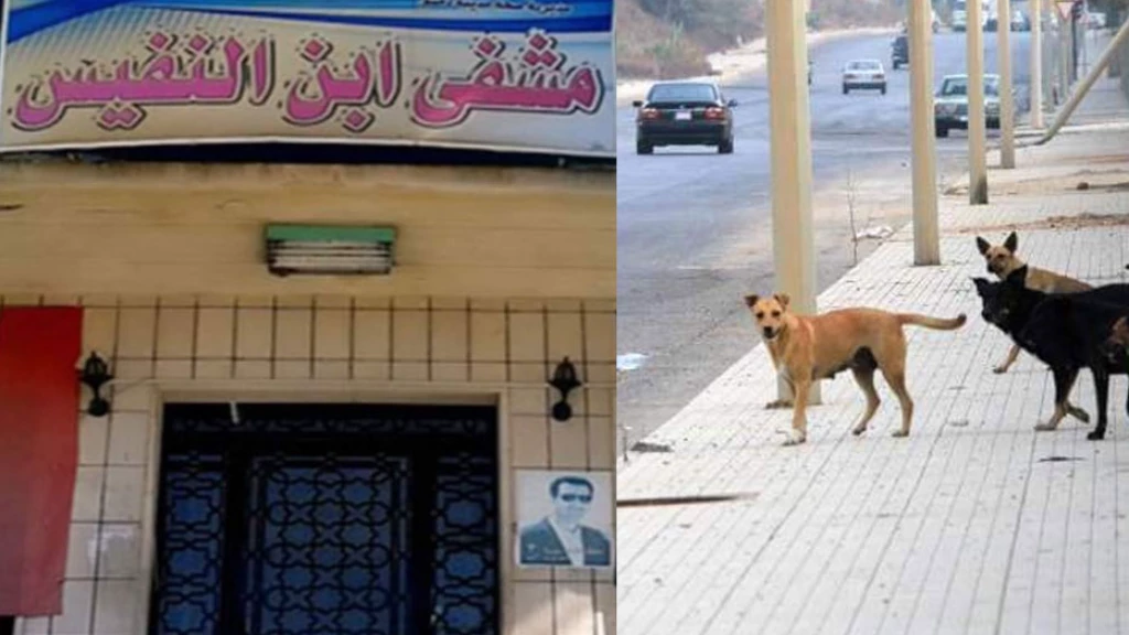 خبر غير صادم.. مشفى أسدي يرفض استقبال طفل تعرّض للعض: أحضروا الكلب وأطعموه 3 أيام!
