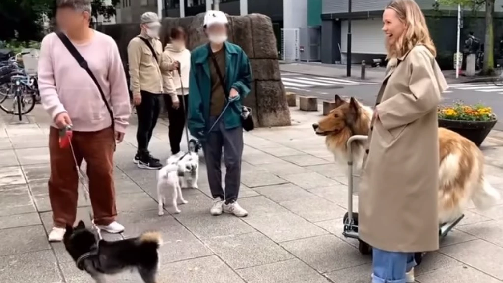 رجل يحقق حلمه بعد أن أنفق أكثر من 14 ألف يورو ليصبح كلباً (فيديو)