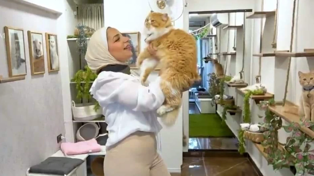افتتاح فندق لرعاية القطط في دمشق يستفز الموالين: لمّوا الأولاد المشردين من الشوارع (فيديو)