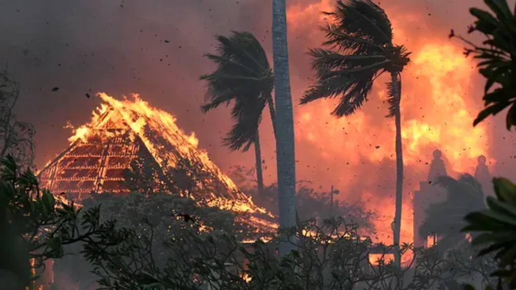 سكان هاواي يقفزون في البحر هرباً من النيران بعدما التهمت 90 شخصاً منهم (فيديو)