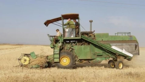 نظام الأسد يفشل في شراء محصول القمح السوري