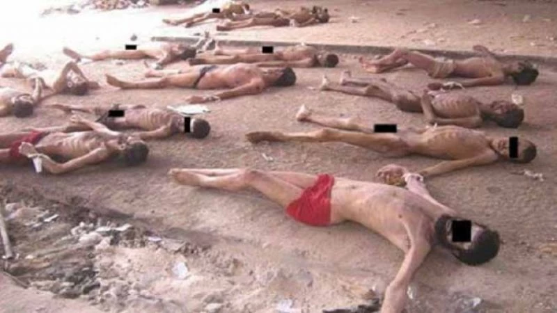 مكتب التحقيقات الفيدرالية يجرم الأسد أخيراً والصور &quot;حقيقية تماما&quot;
