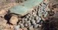 "هيومن رايتس ووتش" تتهم روسيا باستخدام القنابل العنقودية في سوريا