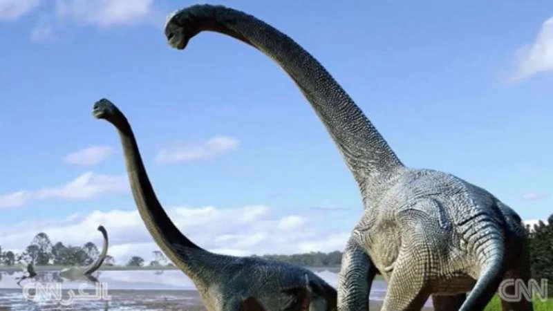"سافاناصوروس".. اكتشاف حفريات نوع جديد من الديناصورات العملاقة