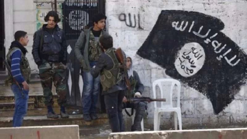 ما علاقة وفيق ناصر بتهريب الأسلحة لـ "داعش" في السويداء؟
