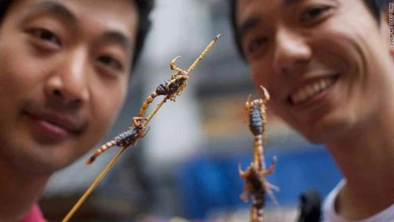 في كوريا الجنوبية .. الحكومة تشجع على أكل الحشرات