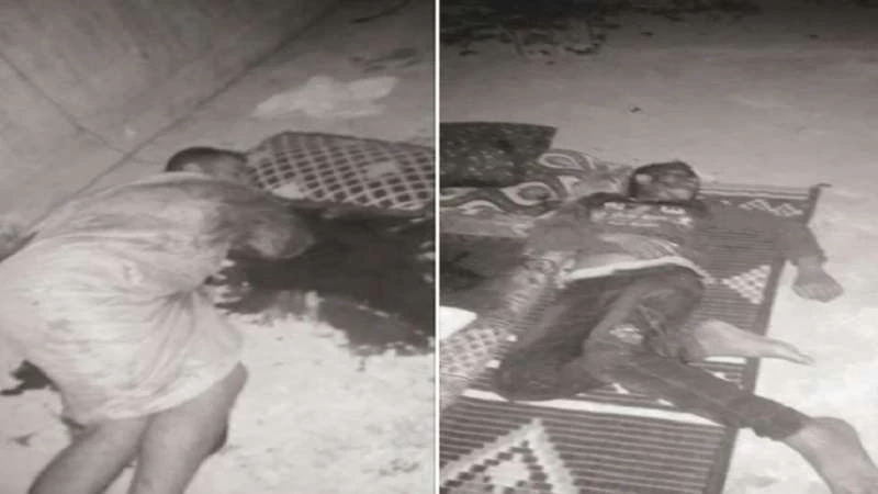 ميليشيات الشبيحة ترتكب مذبحة بحق مدنيين عزل في ريف حماة