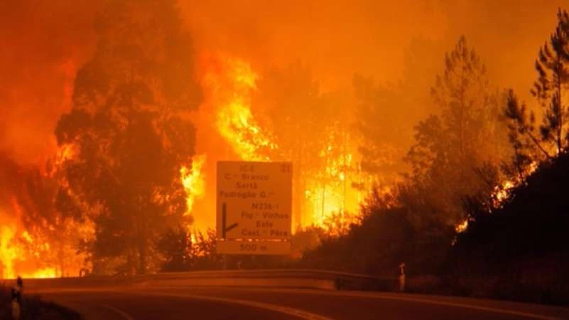 57 قتيلاً في حرائق "هائلة" بغابات وسط البرتغال