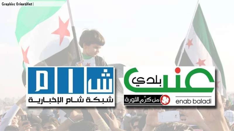 شبكة شام وعنب بلدي .. إعلام سوري جديد شق طريقه بعد الثورة