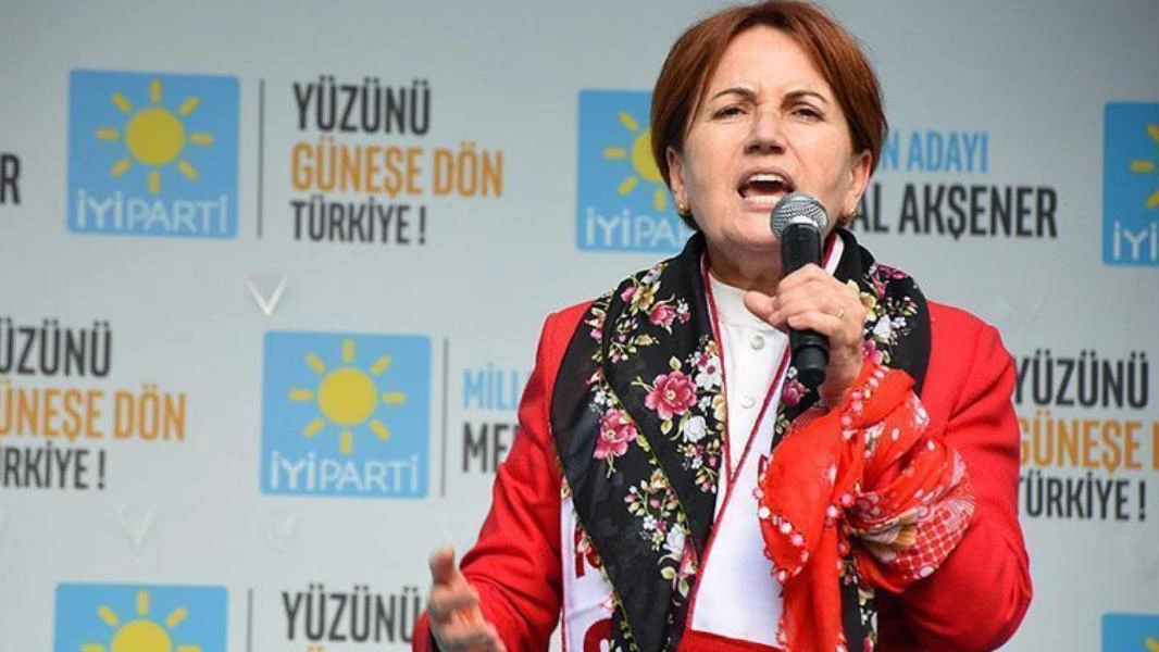 زعيمة حزب تركي معارض تتحدث عن "وصفة سحرية" لترحيل السوريين