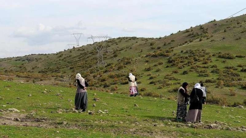 "وحش" يثير الخوف في قرية تركية