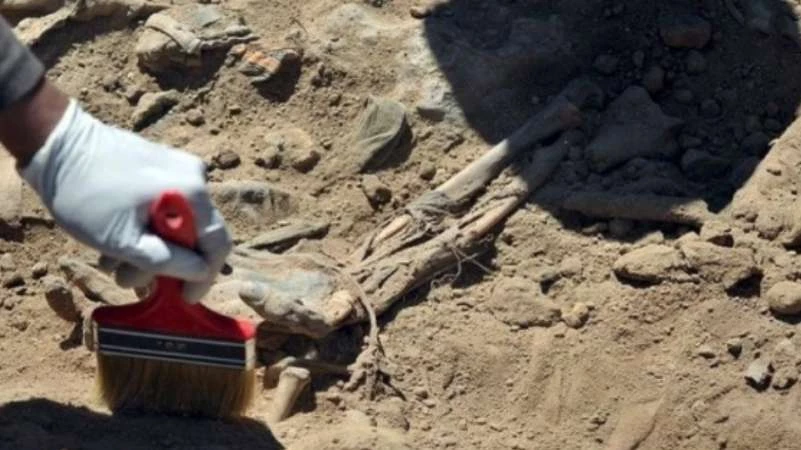 موالون ساخطون يكشفون حقيقة المقابر الجماعية في دوما