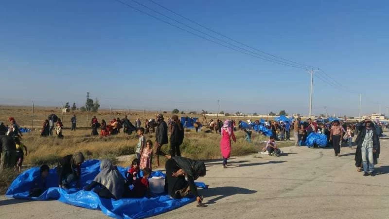 وفاة نازحين سوريين على الحدود الأردنية بـ "لدغات العقارب"