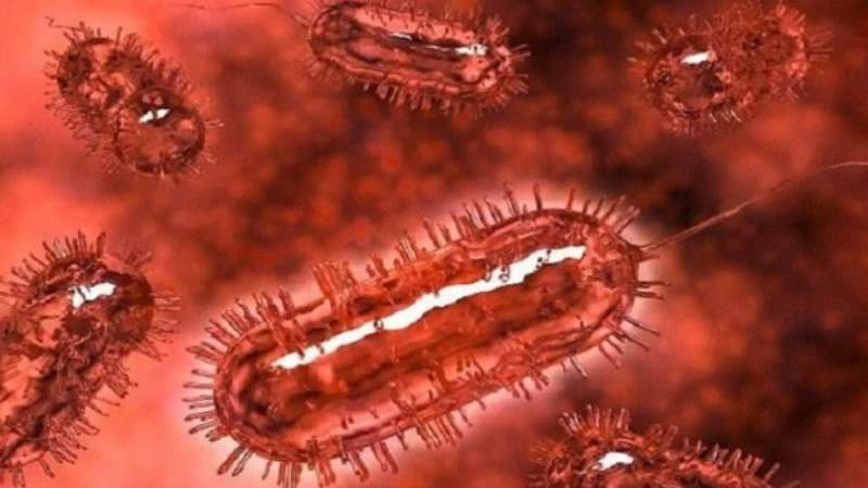 "بكتيريا خارقة" تهدد حياة البشر