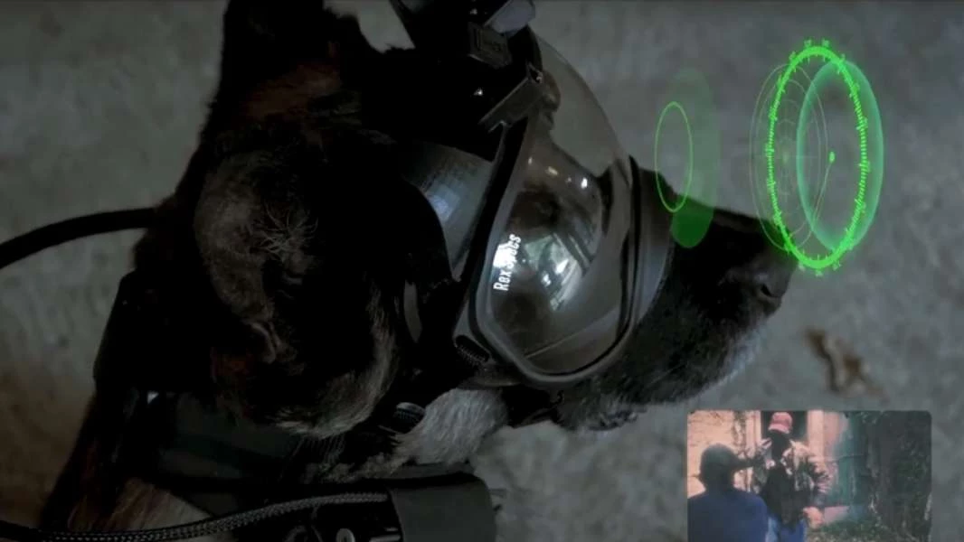 كلاب فرنسية ترتدي نظارات إلكترونية متطورة (فيديو)