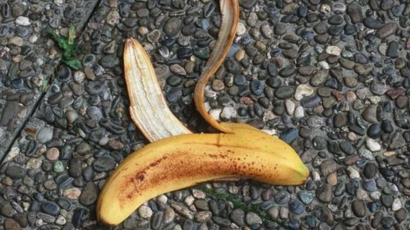 ما هي فوائد قشور الموز؟