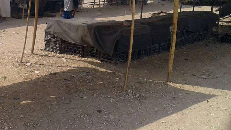 "الوحدات الكردية" تحرم نازحي مخيم السد من الخضار (صور)