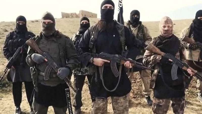 تقرير أممي يحصي عدد مقاتلي "داعش" في سوريا والعراق