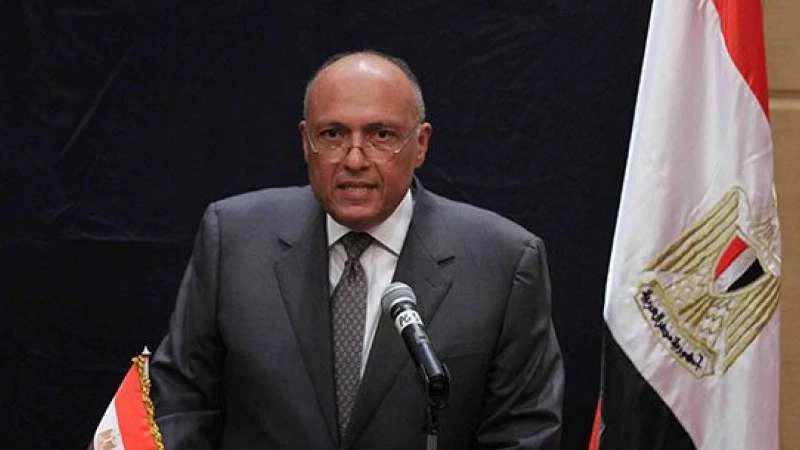 مصر تعلّق على فكرة إرسال قوات عربية إلى سوريا