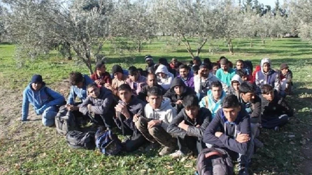 تركيا تضبط 97 مهاجرا غير نظامي 