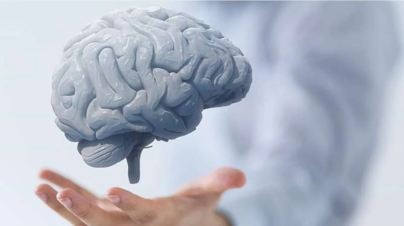 علماء: الحركة تساعد في تحسين صحة الدماغ