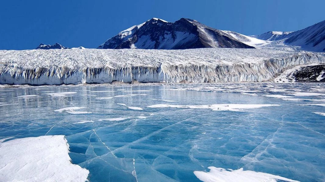 اكتشاف بقايا كائنات حية في القطب الجنوبي