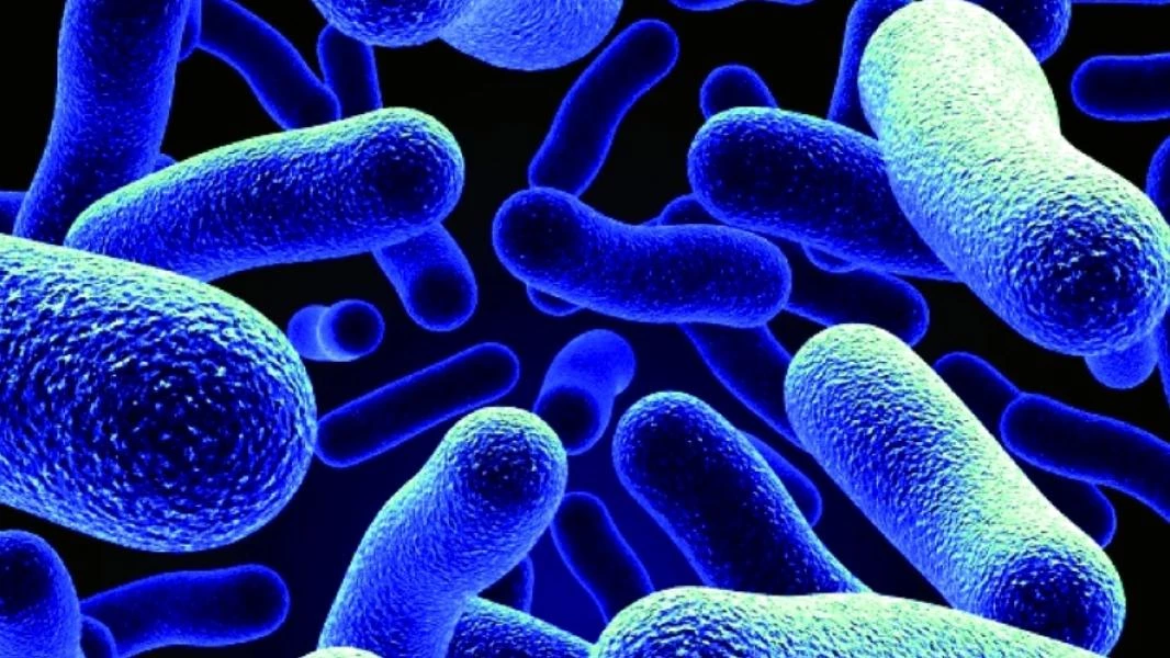 اكتشاف "لا يبشر بالخير" يتعلق بمكافحة البكتيريا المقاومة للمضادات الحيوية