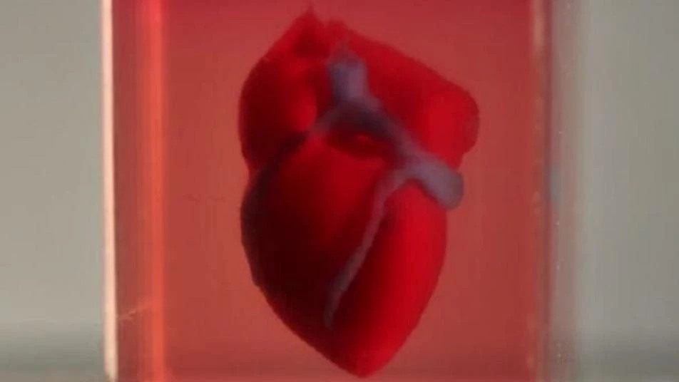 علماء يطورون أول قلب مصنوع بالطباعة ثلاثية الأبعاد مع أنسجة بشرية