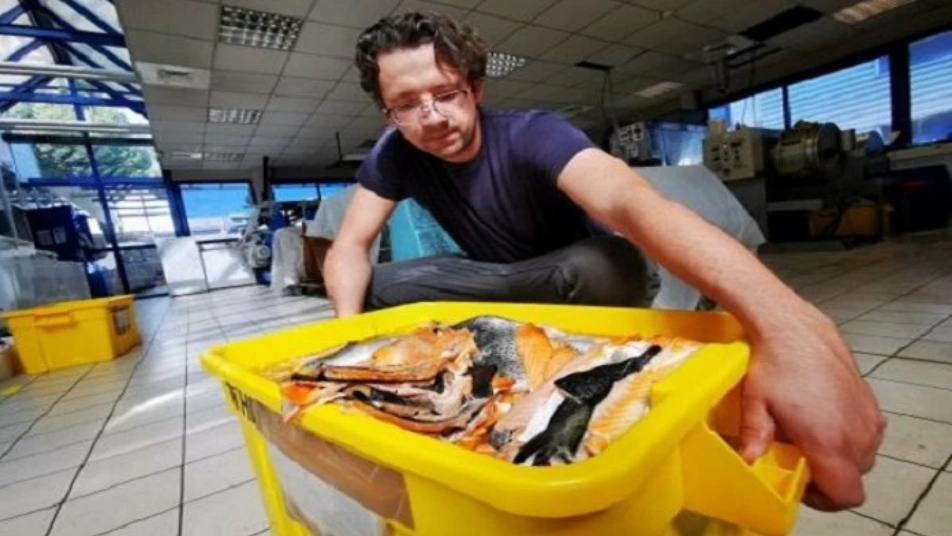 شركة فرنسية تصنع من جلود سمك السلمون أحزمة ساعات (صور)