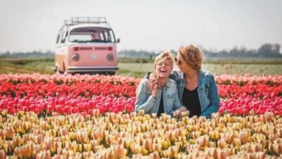 قرار برلماني يُسعد النساء في هولندا
