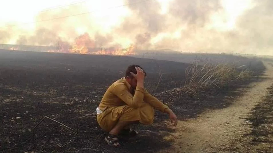 حادثة مؤلمة.. مزارع يقضي حرقاً وسط محصوله في الحسكة (صور)