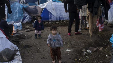 زعيم حزب ألماني يطالب الحكومة بإحضار 4 آلاف قاصر من اليونان بينهم سوريون