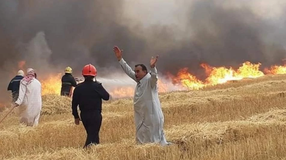 المستغلون وفارضو الإتاوات آفات جديدة تشارك الحرائق في محاصيل فلاحي "نبع السلام"