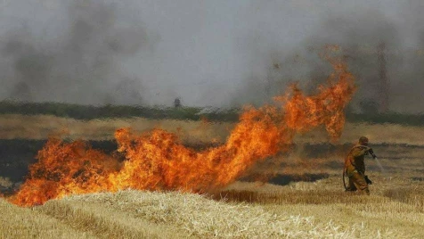 الحرائق تواصل التهام الأراضي الزراعية في ديرالزور (فيديو)