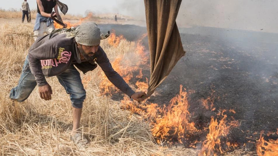 التلغراف: هؤلاء المستفيدون من حرق محاصيل السوريين!