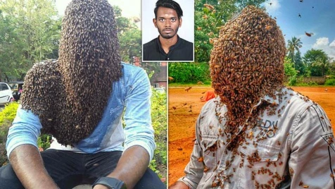 شاب هندي يُخاطر بتغطية وجهه بـ 60 ألف نحلة.. ما السبب؟! (صور)