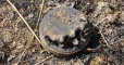 Mine kills civilian in Deir-ez-Zor desert