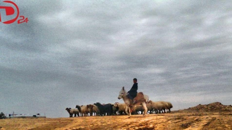 Landmine injures shepherd in Deir ez-Zoor’s Hajin