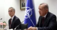 Erdogan urges NATO support in critical period
