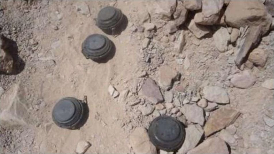 Mine injures two brothers in Deir ez-Zoor countryside