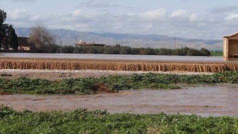 Flood displaces 5000 Syrians from Hasaka's Tel Hemis