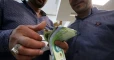 Police arrest 20 currency dealers in Iran