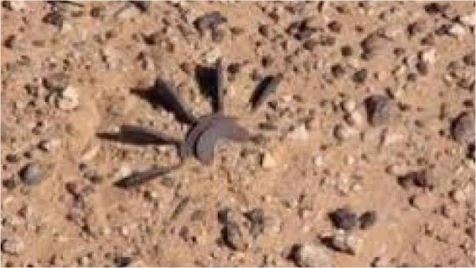 Mines kill civilians in Deir ez-Zoor countryside