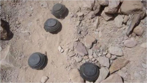 Mine kills seven children in Deir ez-Zoor countryside